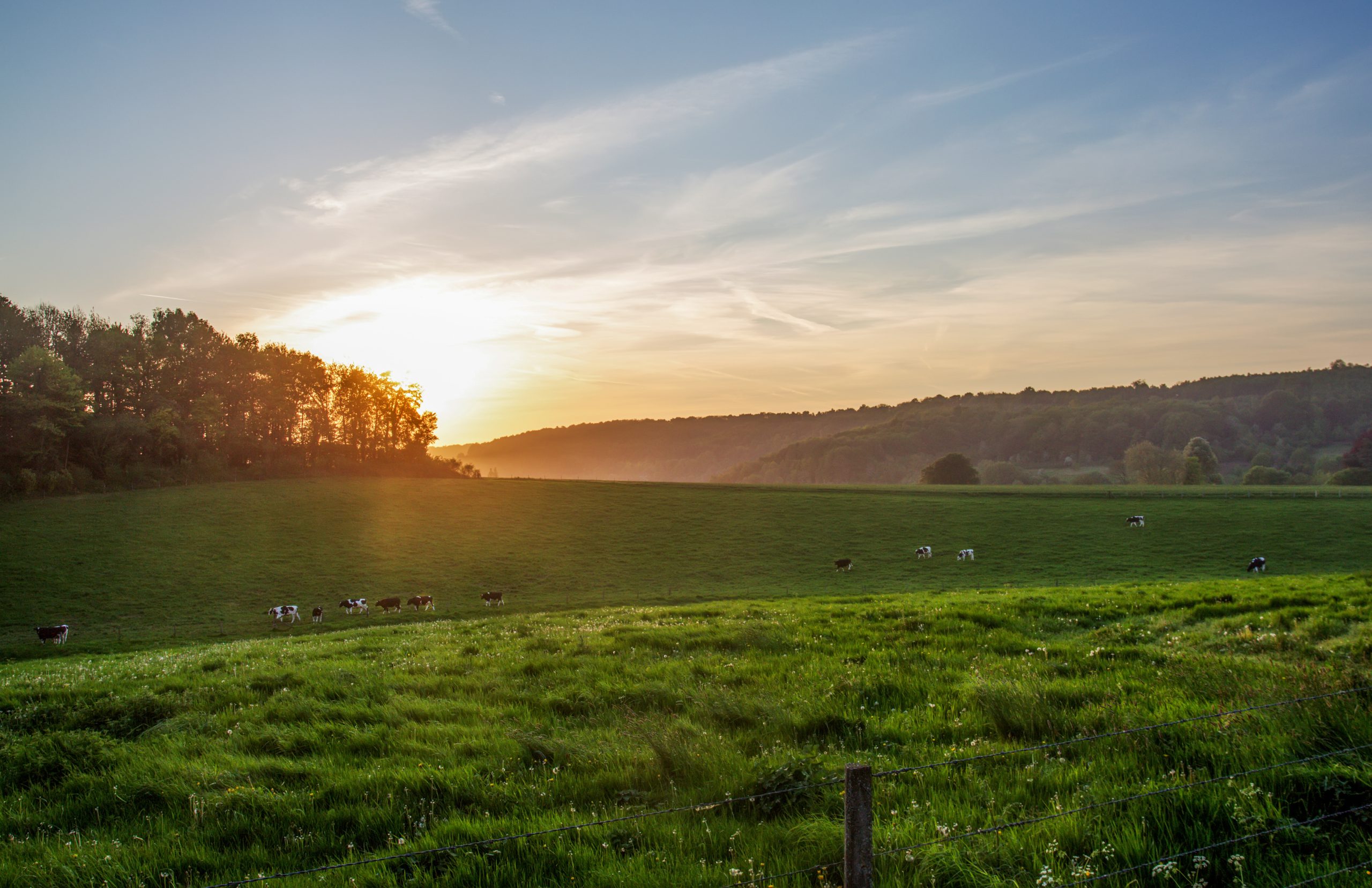 country idyll  in Normandy